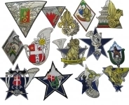 Французские  нашивки картинка из объявления