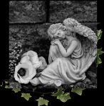 Ритуальные услуги картинка из объявления