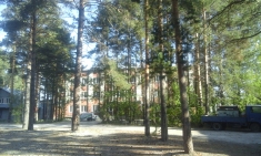 Требуется менеджер по сбыту дубовых досок в объявлении 1 фото Требуется менеджер по сбыту дубовых досок картинка из объявления