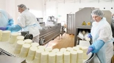 Приглашаем на пищевое производство сотрудников на должности: груз картинка из объявления