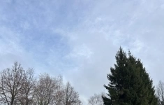 Продам коммерческую недвижимость 441 м2 картинка из объявления